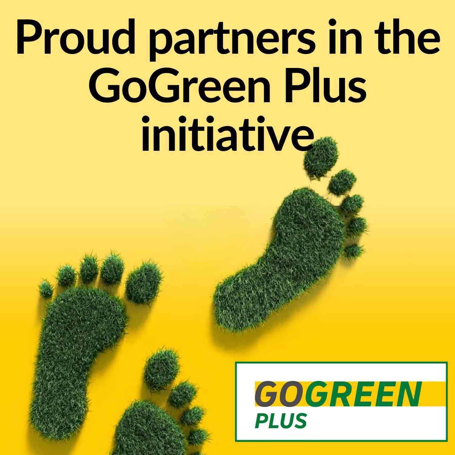 Voluntary Carbon Credit Offset